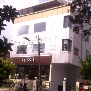 fossil